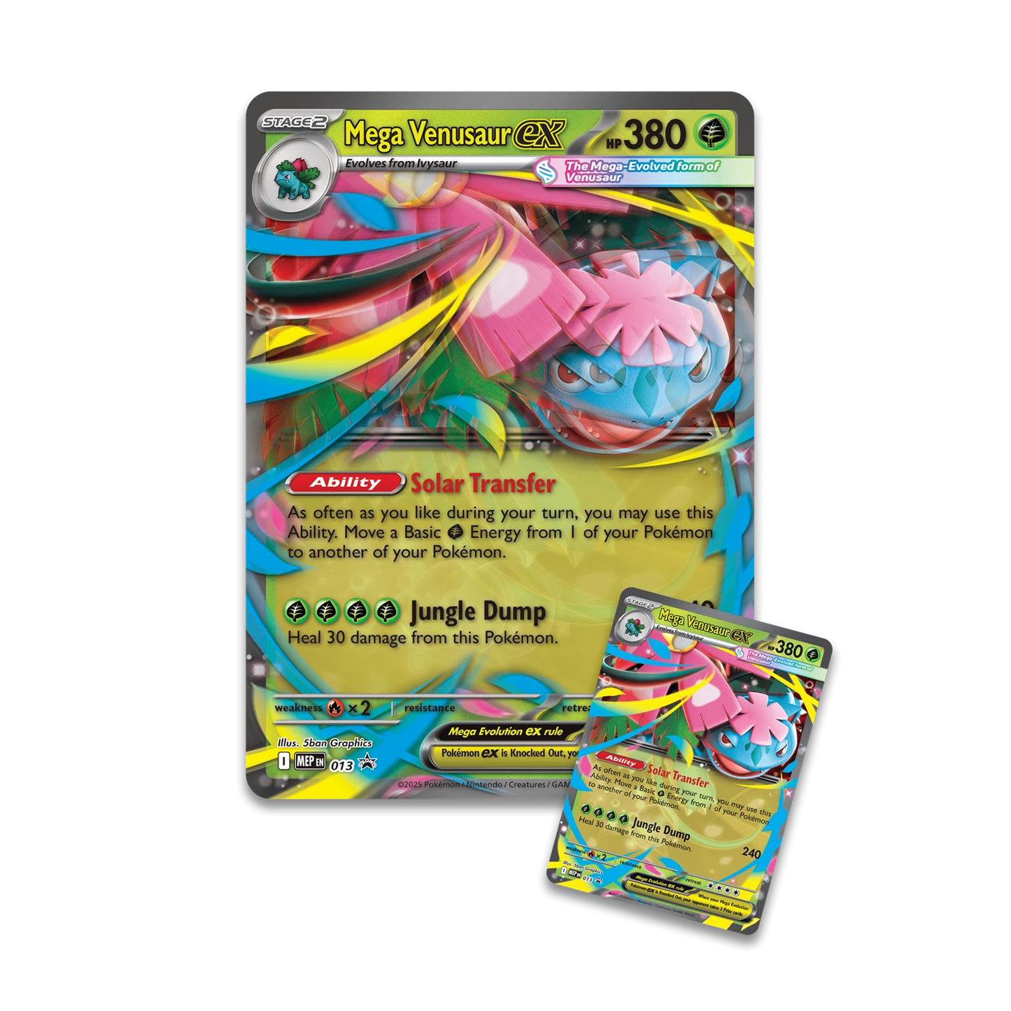 Mega Venusaur ex Premium Collection